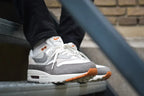 Nike Air Max 1 Light Iron Ore Flat Pewter (IB1492-121) | SneakerClassics