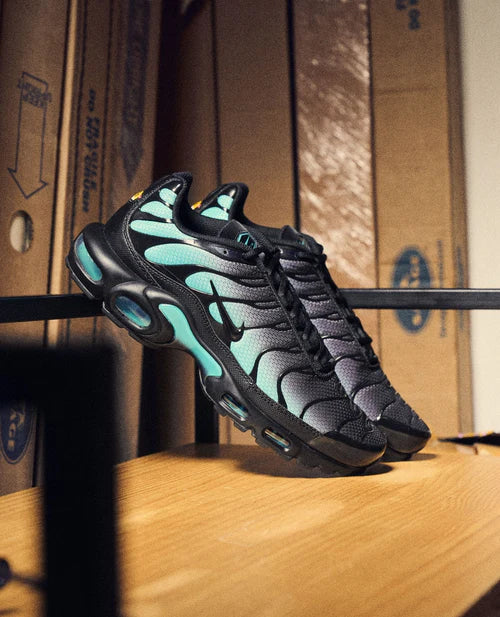 Nike Air Max Plus Black Dusty Cactus (DM0032-016) | TheSneakerWay