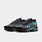 Nike Air Max Plus Black Dusty Cactus (DM0032-016) | TheSneakerWay