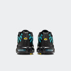 Nike Air Max Plus Black Dusty Cactus (DM0032-016) | TheSneakerWay