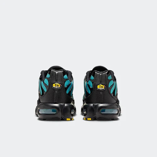 Nike Air Max Plus Black Dusty Cactus (DM0032-016) | TheSneakerWay