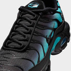 Nike Air Max Plus Black Dusty Cactus (DM0032-016) | TheSneakerWay