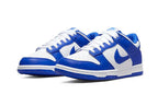 Nike Dunk Low Racer Blue Photon Dust (FN3416-001) | TheSneakerWay