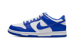 Nike Dunk Low Racer Blue Photon Dust (FN3416-001) | TheSneakerWay