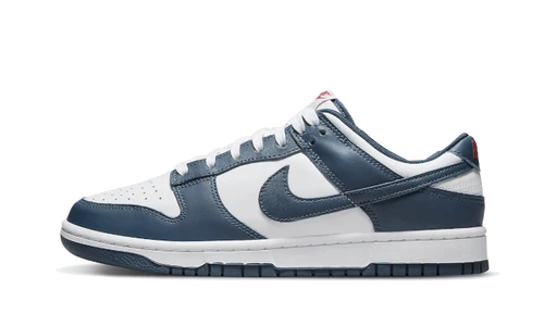 Nike Dunk Low Valerian Blue