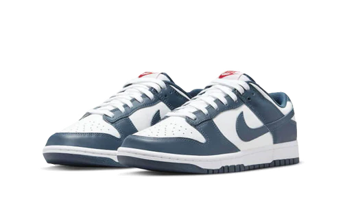 Nike Dunk Low Valerian Blue (DD1391-400) | TheSneakerWay
