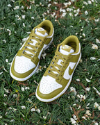 Nike Dunk Low Retro Pacific Moss (DV0833-105) | TheSneakerWay