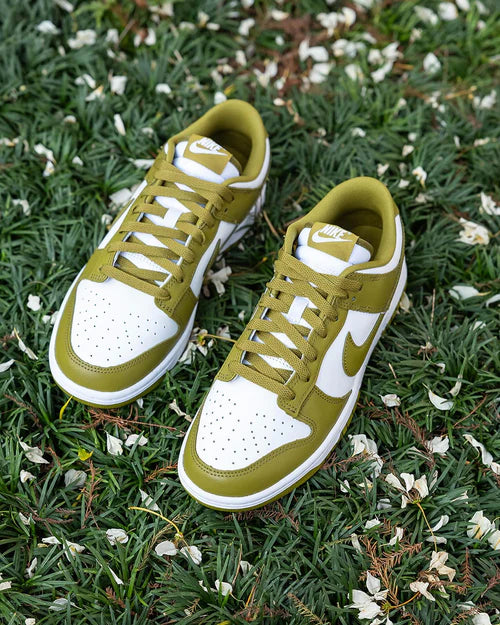 Nike Dunk Low Retro Pacific Moss (DV0833-105) | TheSneakerWay