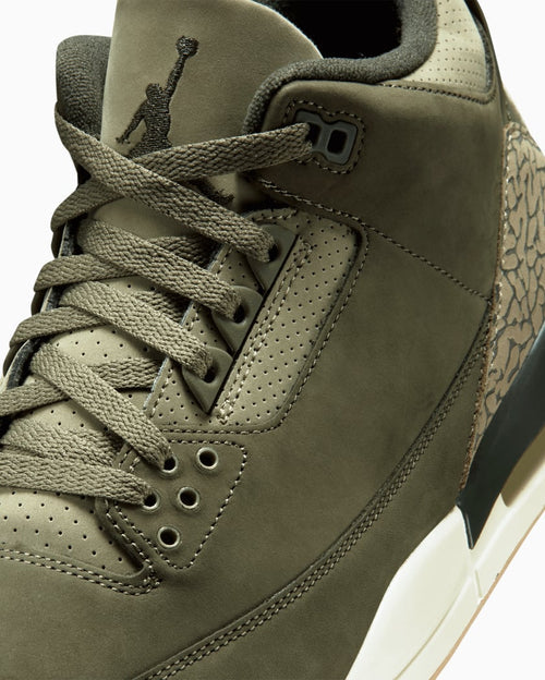 Jordan 3 Retro Family Affair (DN3707-202) | TheSneakerWay