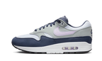 Nike Air Max 1 Obsidian Lilac Bloom (FD9082-001) | TheSneakerWay