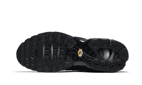 Nike Air Max Plus Triple Black (604133-050) | TheSneakerWay