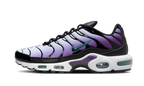 Nike Air Max Plus Reverse Grape (FQ2415-500) | TheSneakerWay