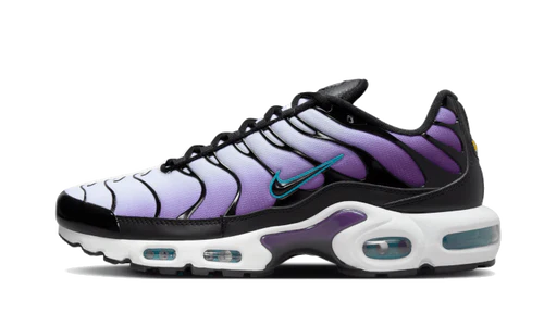 Nike Air Max Plus Reverse Grape (FQ2415-500) | TheSneakerWay