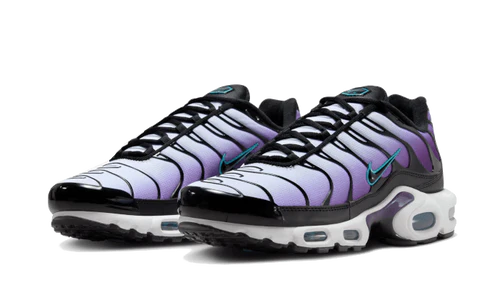 Nike Air Max Plus Reverse Grape (FQ2415-500) | TheSneakerWay