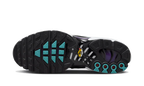Nike Air Max Plus Reverse Grape (FQ2415-500) | TheSneakerWay