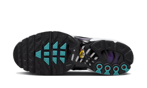 Nike Air Max Plus Reverse Grape (FQ2415-500) | TheSneakerWay