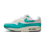 Nike Air Max 1 Dusty Cactus (Women's) (DZ2628-107) | TheSneakerWay
