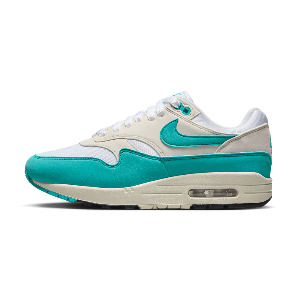 Nike Air Max 1 Dusty Cactus (Women's) (DZ2628-107) | TheSneakerWay