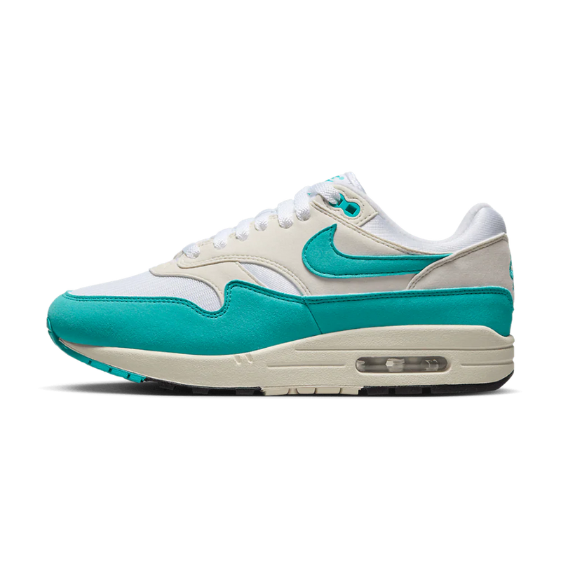 Nike Air Max 1 Dusty Cactus (Women's)