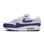 Nike Air Max 1 SC Field Purple (DZ4549-101) | TheSneakerWay
