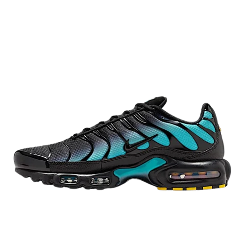 Nike Air Max Plus Black Dusty Cactus