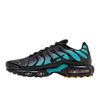 Nike Air Max Plus Black Dusty Cactus (DM0032-016) | TheSneakerWay