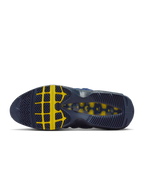 Nike Air Max 95 SB Eric Koston Obsidian Speed Yellow (HQ8492-400) | TheSneakerWay
