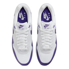 Nike Air Max 1 SC Field Purple (DZ4549-101) | TheSneakerWay