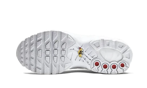 Nike Air Max Plus Triple White (AJ2029-100) | TheSneakerWay