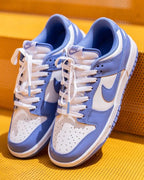 Nike Dunk Low Polar Blue (DV0833-400) | TheSneakerWay