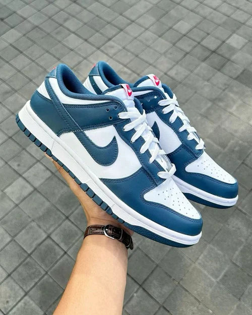 Nike Dunk Low Valerian Blue (DD1391-400) | TheSneakerWay