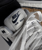 Nike Air Max 1 Platinum Tint Dark Obsidian (FD9082-002) | TheSneakerWay