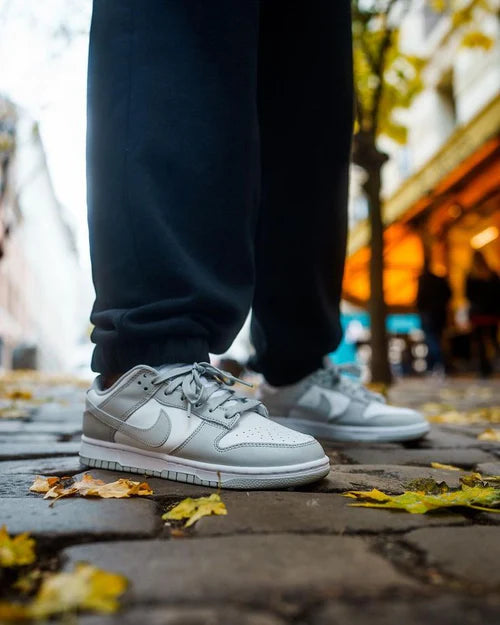 Nike Dunk Low Grey Fog (DD1391-103) | TheSneakerWay