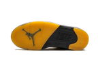 Jordan 5 Retro A Ma Maniére Dawn (Women's) (FZ5758-004) | TheSneakerWay