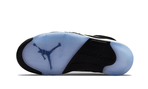 Jordan 5 Retro Moonlight (2021) (CT4838-011) | TheSneakerWay
