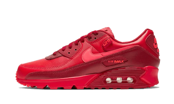 Nike Air Max 90 City Special Chicago
