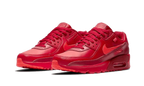 Nike Air Max 90 City Special Chicago (DH0146-600) | TheSneakerWay