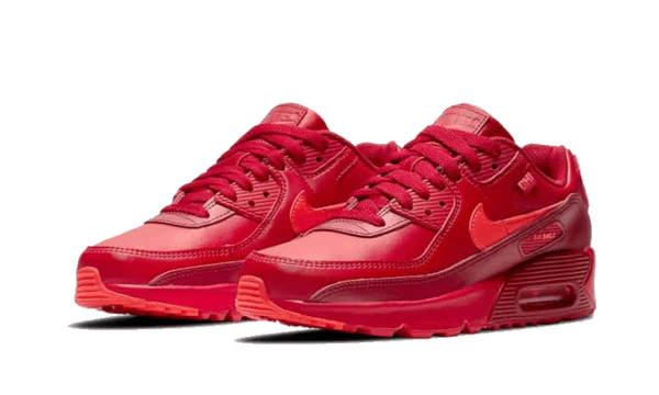 Nike Air Max 90 City Special Chicago (DH0146-600) | TheSneakerWay