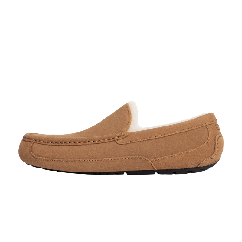 UGG Ascot Slipper Chestnut