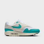 Nike Air Max 1 Dusty Cactus (Women's) (DZ2628-107) | TheSneakerWay