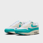 Nike Air Max 1 Dusty Cactus (Women's) (DZ2628-107) | TheSneakerWay