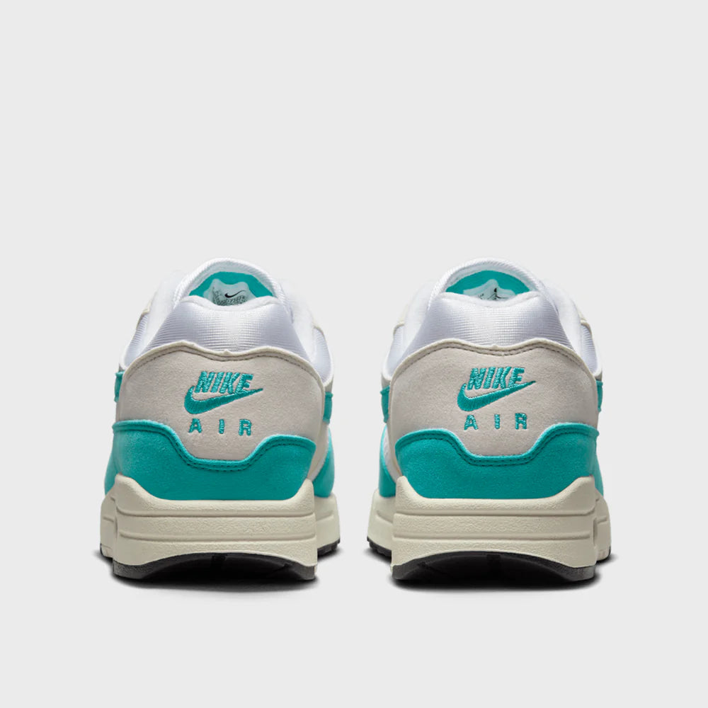 Nike Air Max 1 Dusty Cactus (Women's) (DZ2628-107) | TheSneakerWay