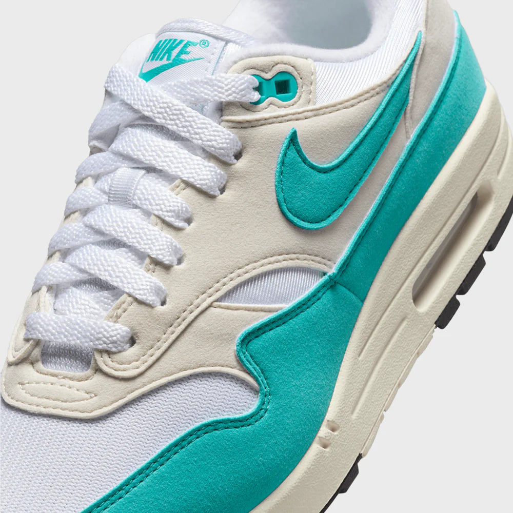 Nike Air Max 1 Dusty Cactus (Women's) (DZ2628-107) | TheSneakerWay