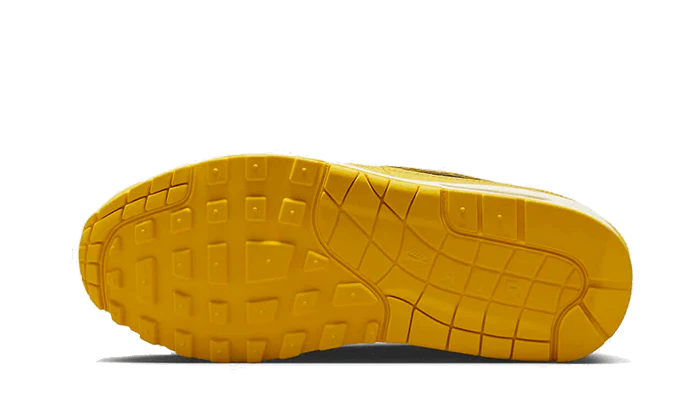 Nike Air Max 1 CO.JP Michigan Head to Head (Women's) (FJ5479-410) | SneakerClassics