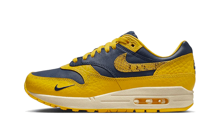 Nike Air Max 1 CO.JP Michigan Head to Head (Women's) (FJ5479-410) | SneakerClassics