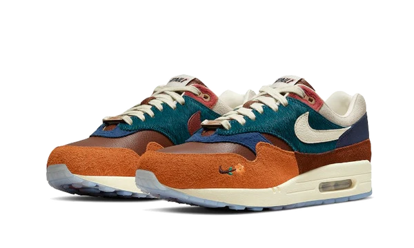 Nike Air Max 1 Kasina Won-Ang Orange (DQ8475-800) | TheSneakerWay