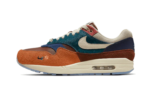Nike Air Max 1 Kasina Won-Ang Orange (DQ8475-800) | TheSneakerWay
