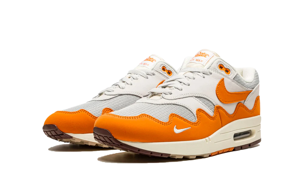 Nike Air Max 1 Patta Waves Monarch (DH1348-001) | TheSneakerWay