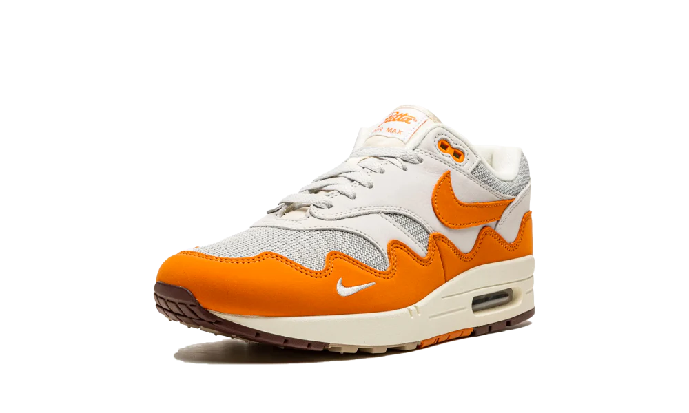 Nike Air Max 1 Patta Waves Monarch (DH1348-001) | TheSneakerWay
