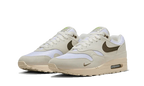 Nike Air Max 1 Sail Ironstone (DZ4494-100) | TheSneakerWay